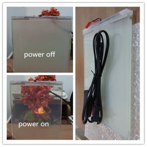 Perjungiamas „Smart Glass“