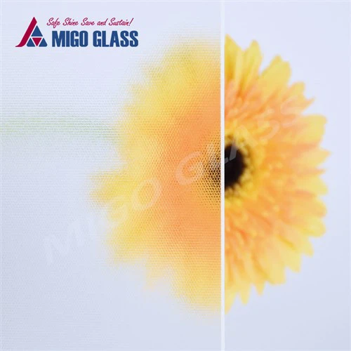 AR dangos saulės stiklas